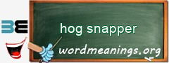 WordMeaning blackboard for hog snapper